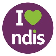 NDIS_2020